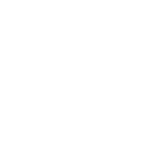 Component 1. Institutional Development of Border Control Agencies