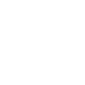 Component 2. Improvement of Detection Capacities